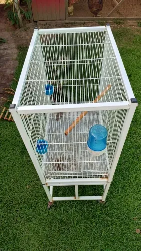 GAIOLA COM RODINHAS 