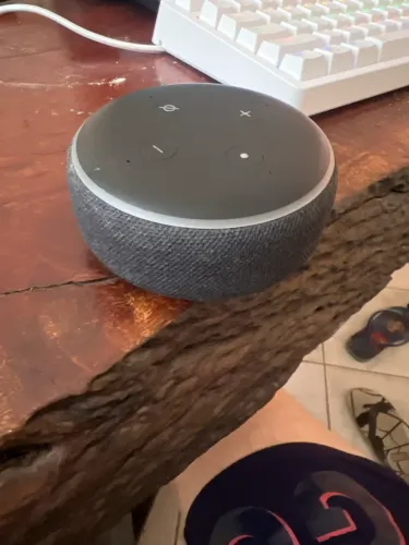 Alexa 