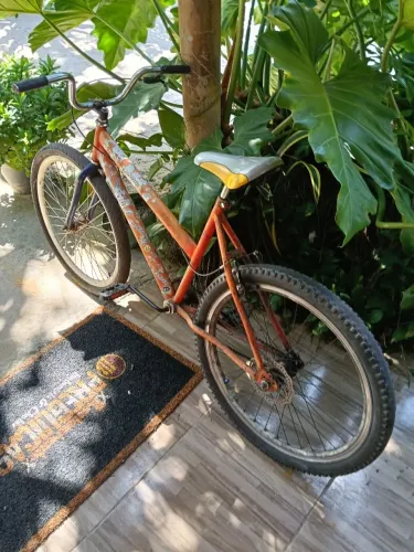 BIKE ARO 26