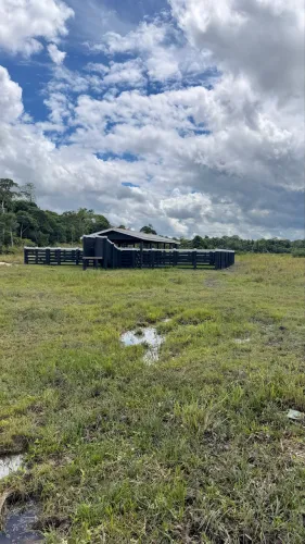 FAZENDA A VENDA 309 HECTARES