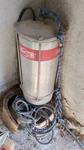 Bomba sapo