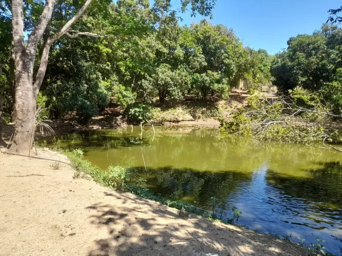 Fazenda 30 Alqueires Goianos 15 minutos de Cocalzinho-GO