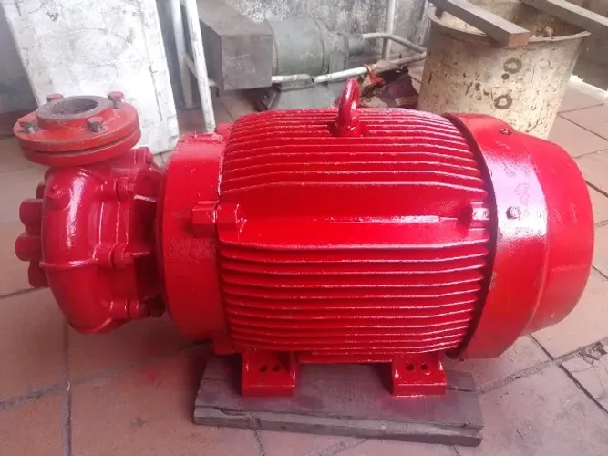 Motor Weg 75 CV 3565 RPM