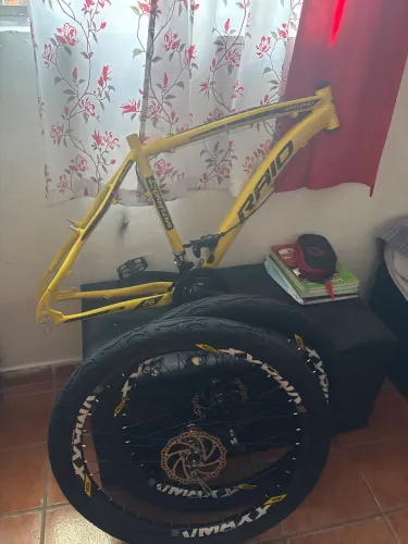 Peça de bicicleta raio