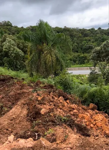 Torrando terreno em chácara em São José