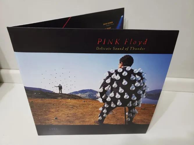 LP Pink Floyd- Delicate Sound Of Thunder- Somente CAPA (com Detalhes) * Leia *