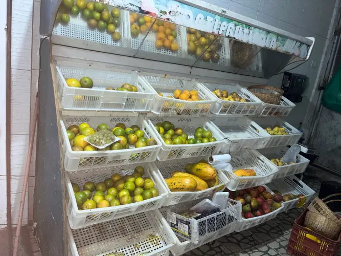 Freezer de 6 portas e expositor de frutas 