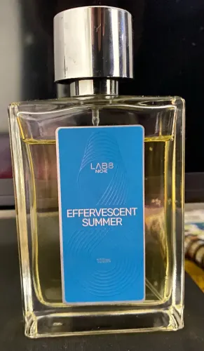 Effervescent Summer Lab 8