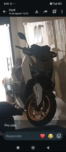 X Max 300