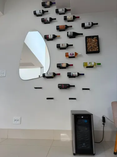 Adega 8 garrafas + vinhos e suportes