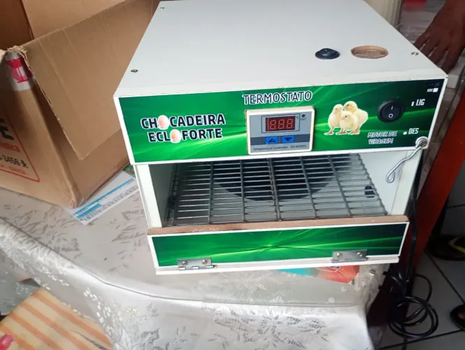 Chocadeiras Elétricas