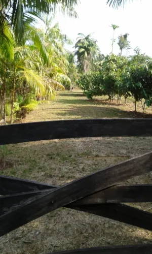 Sítio no ramal chapahall