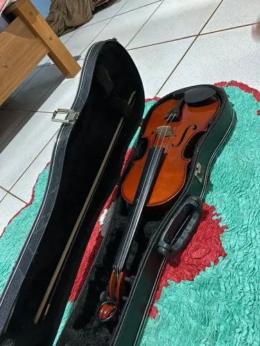 Violino