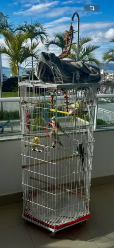 Gaiola com espaço para caixa de ninho