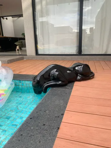 Decoração de Pantera para piscina