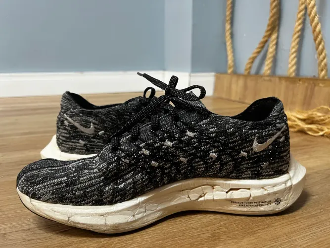 Nike Pegasus Turbo Next Nature