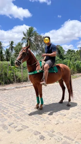 Vendo Cavalo