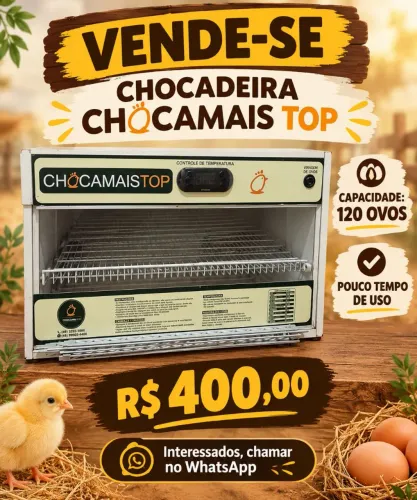 Chocadeira Chocamaistop 120 ovos