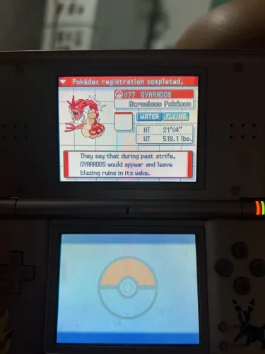 Nintendo Ds lite DESBLOQUEADO