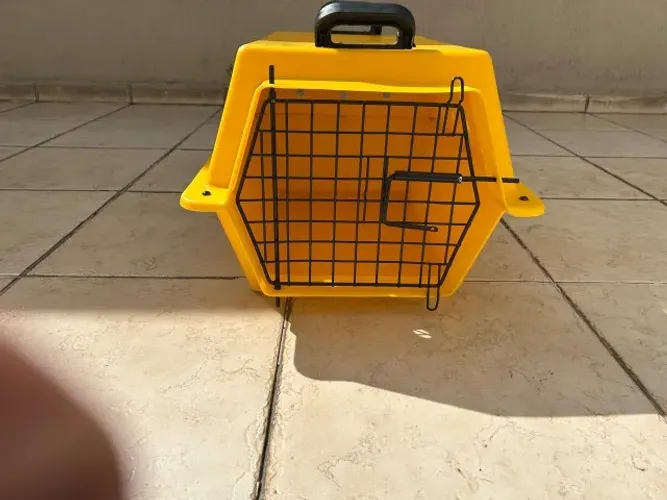 Pet Tour Jr 200 Amarelo