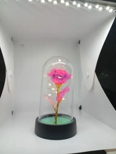 Rosa encantada com LED