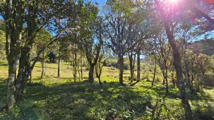 Terreno de montanha com vista panorâmica