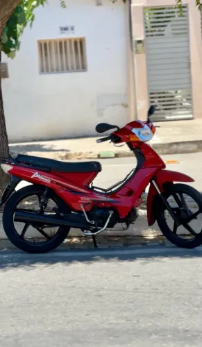 Shineray Phoenix S 50 2025