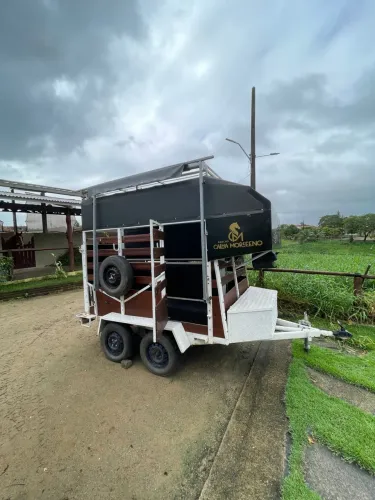 Carrocinha para 2 cavalos!