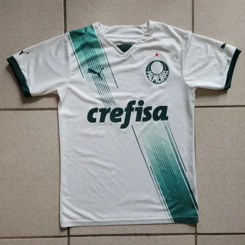 Camisa Palmeiras 2023/2024 - Puma