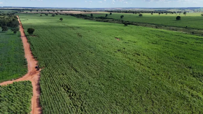 Vendo 68 alqueires em Três Lagoas/MS