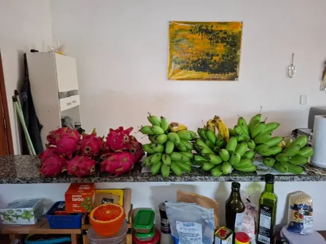 Vendo Pitayas biológicas colhidas maduras 