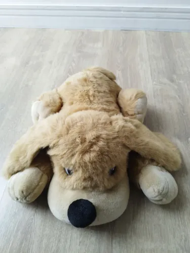 Cachorrinho Antialérgico Lavável 40x45