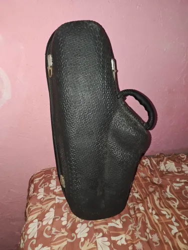 Case Solid Sound Sax alto