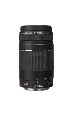 Lente Canon EF 75-300 mm F/4-5,6