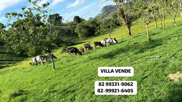 99 Tarefas R$ 1.500,000 Estrada Que Acessa Mar Vermelho Em Tanque D'arca 