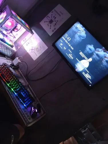 PC gamer