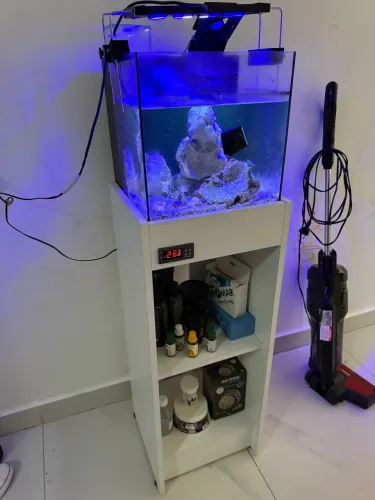 Aquário com sump traseiro completo 20L 