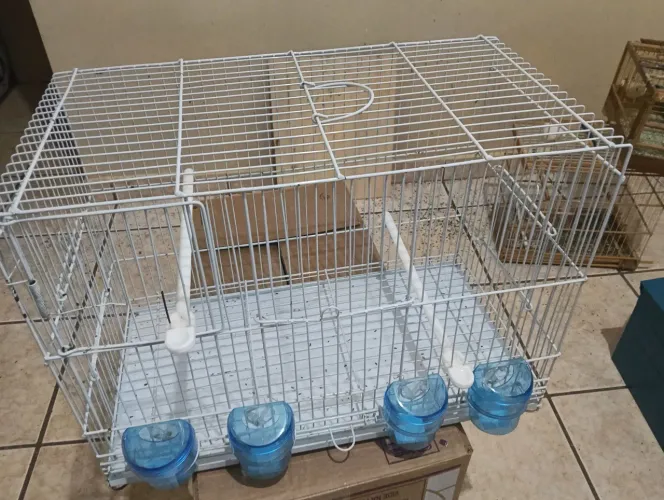 Gaiolas para Canário