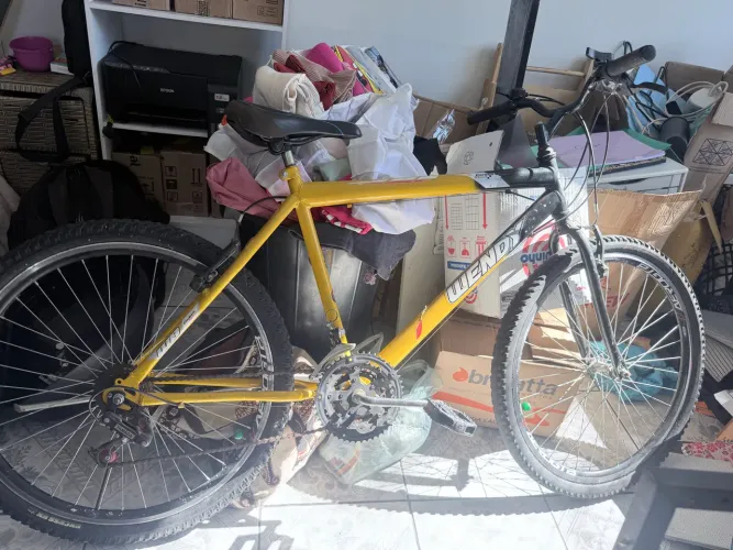 Bicicleta