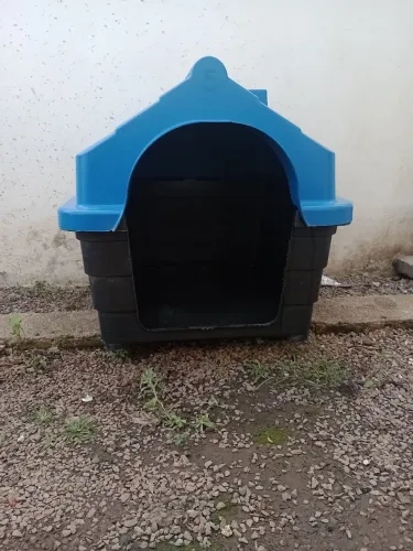 Casinha cachorro