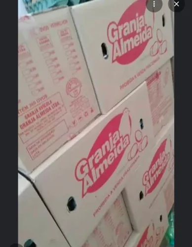 Caixa de papelão, mudança, de ovo
