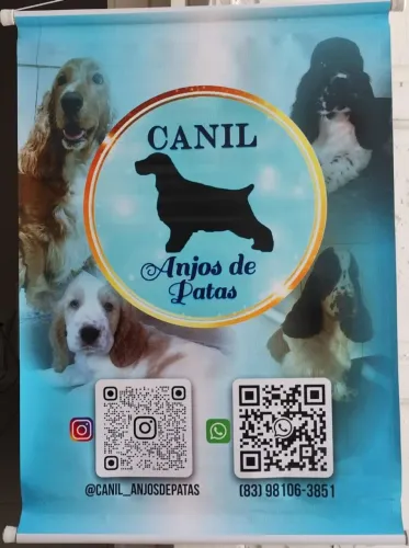 Cockers para reserva