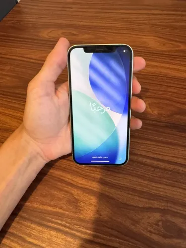 iPhone 12