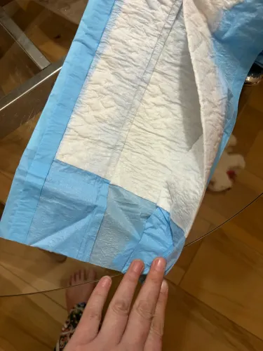 Tapete higiênico pet
