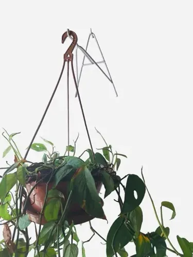 Suporte de ferro para plantas 