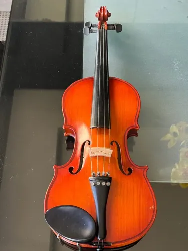Violino Acústico Eagle VG 411