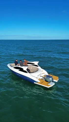 Phoenix 24 c deck motor 4 tempos 