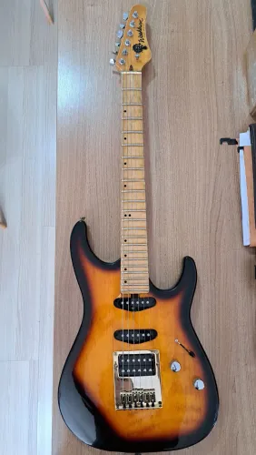 Guitarra Washburn Lyon - Raridade - upgrades