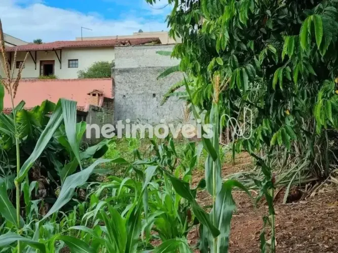 Venda Lote-Área-Terreno Santa Branca Belo Horizonte