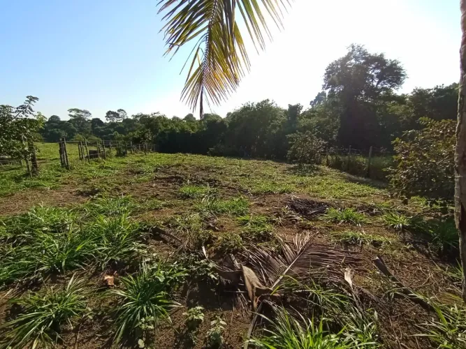 Chácara em Vila Velha, Xuri, 1.000m2, entrego escriturada, troco, aceito propostas leia